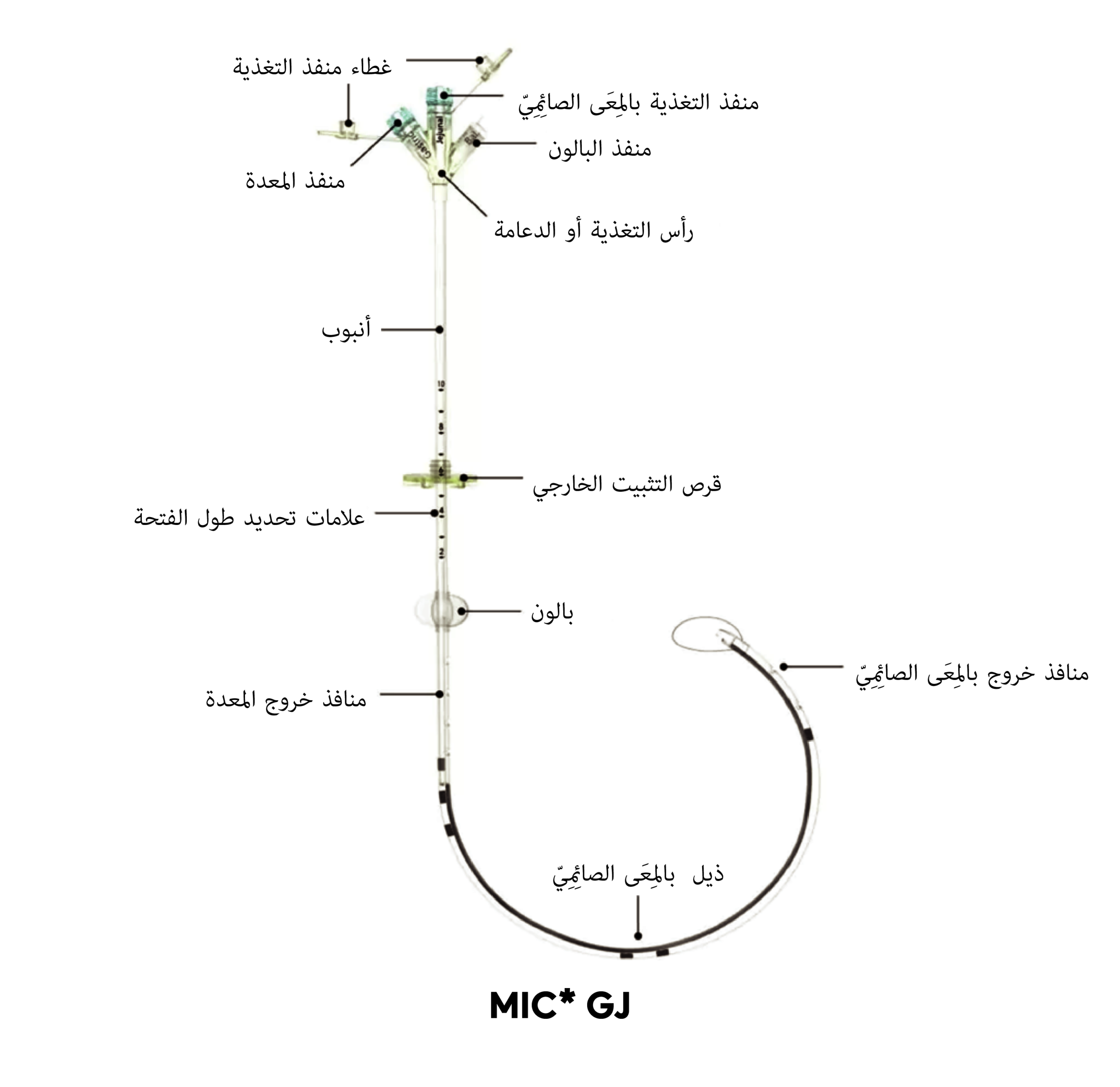 MIC* مخطط أنبوب GJ