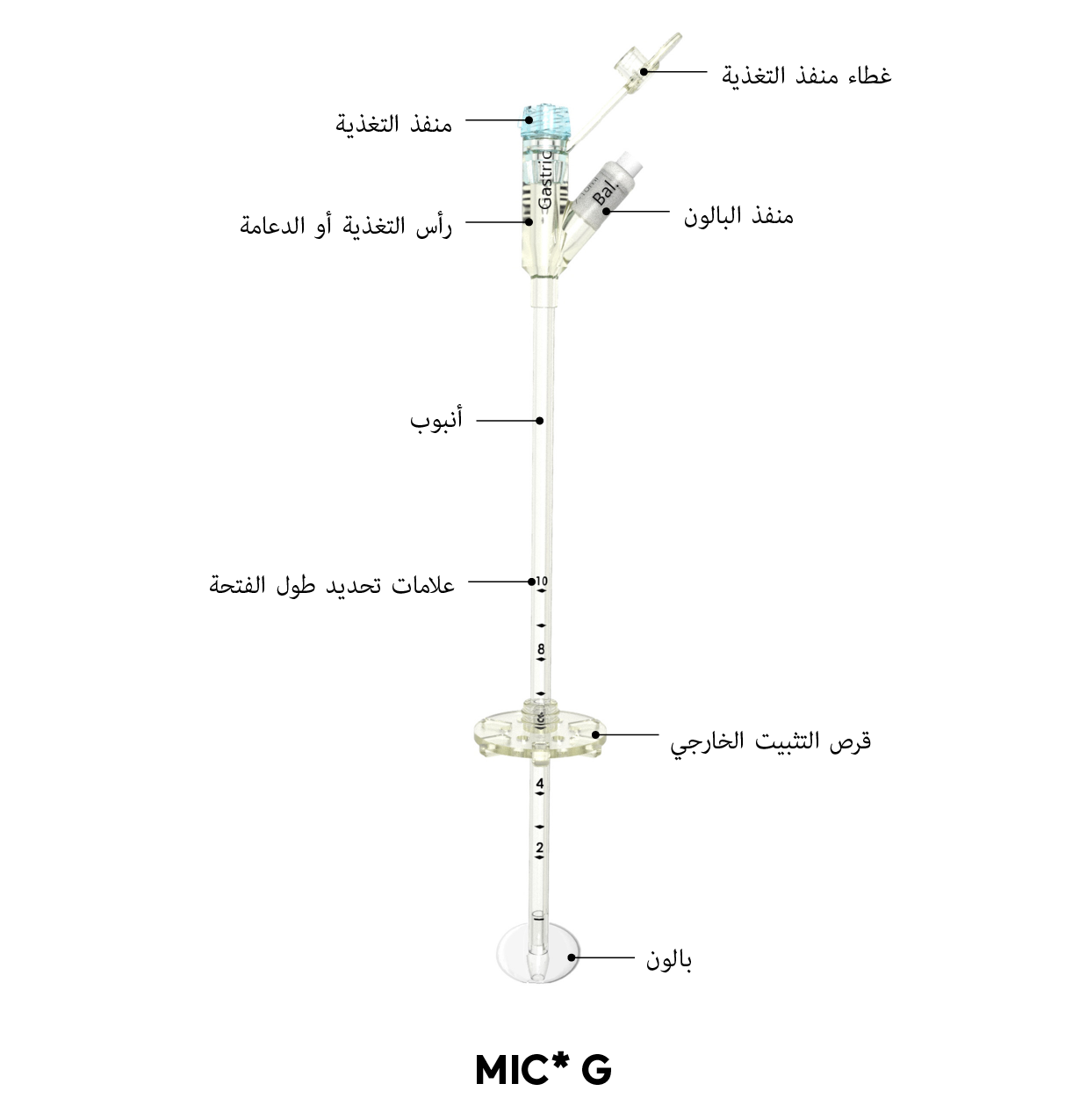 MIC* مخطط أنبوب G