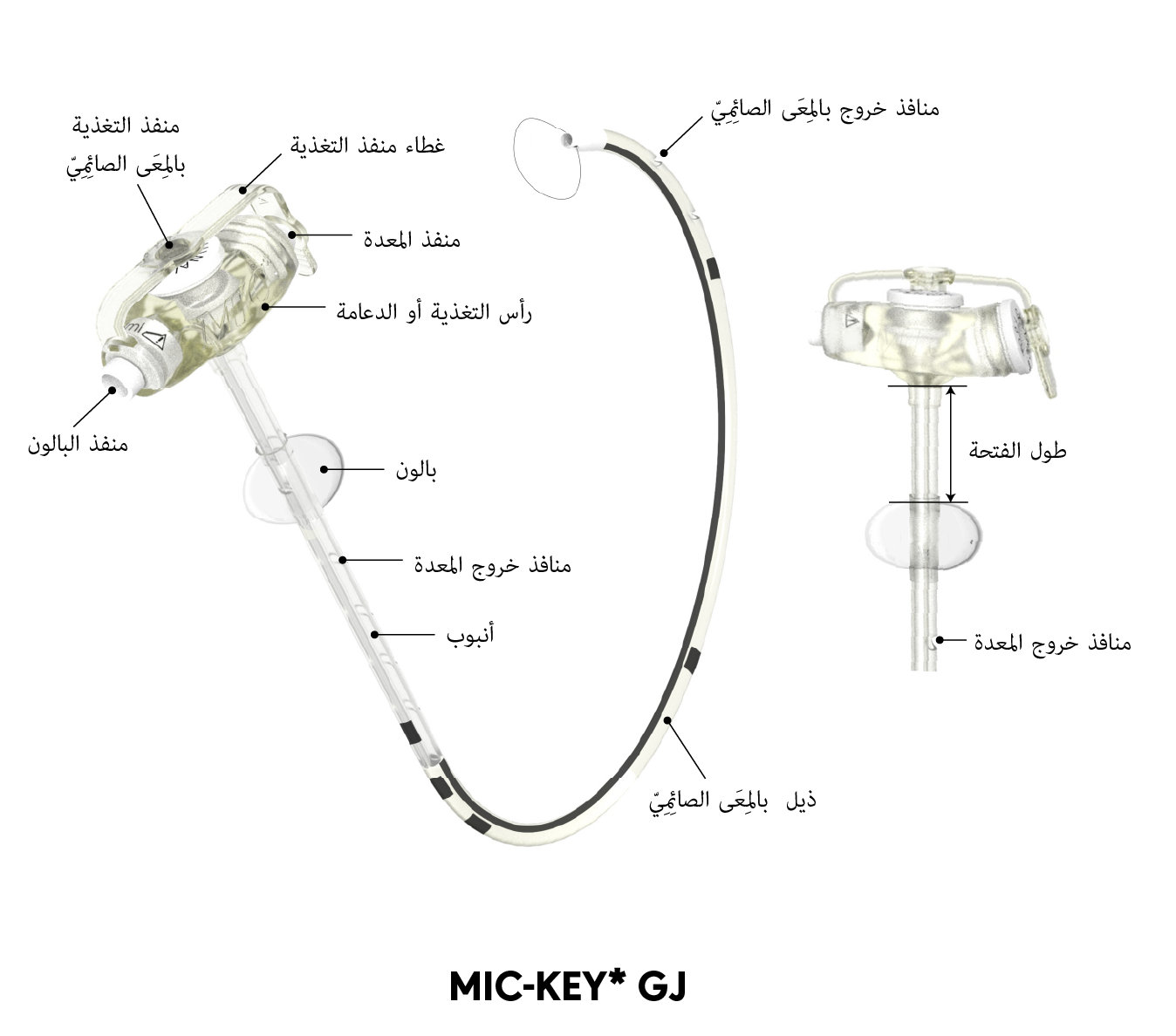 MIC-KEY* مخطط أنبوب GJ
