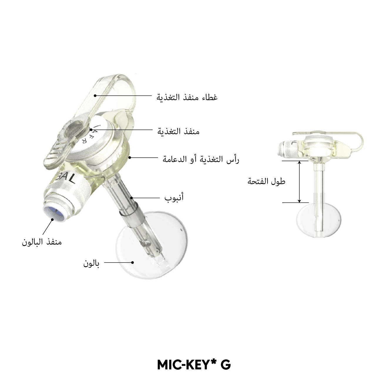MIC-KEY* مخطط أنبوب G
